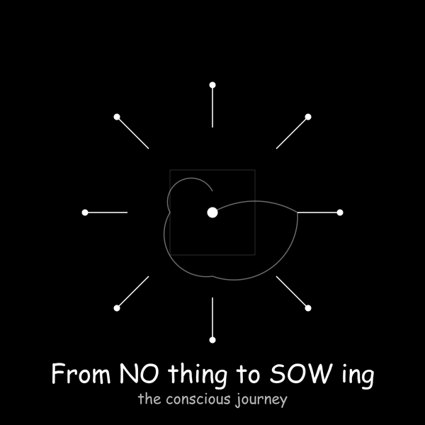 From NO thing to SOW ing